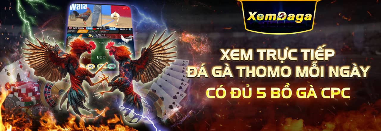 xemdaga 1